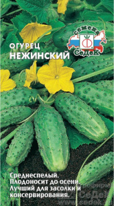 Огурец Нежинский  купить