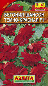 Бегония Шансон F1 темно-красная, ампельная  купить