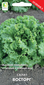 Салат Восторг купить