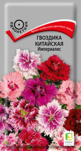 Гвоздика Китайская Империалис купить