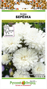 Астра Березка купить