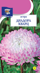 Астра Диадора Кварц пионовидная купить