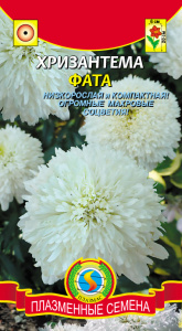 Хризантема Фата  купить