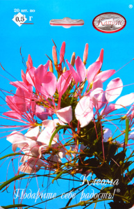 Клеома Змей Горыныч/1шт купить