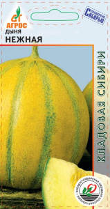 Дыня Нежная купить