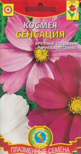 Космея Сенсация (Смесь)  купить