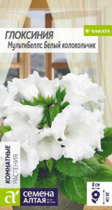 Глоксиния Мульти Беллс Белый колокольчик F1  купить