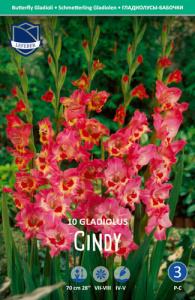 Гладиолус BUTTERFLY Cindy /10шт купить