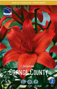 Лилия азиатская Orange County /3шт купить
