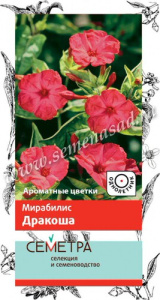 Мирабилис Дракоша купить