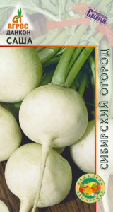 Дайкон Саша  купить