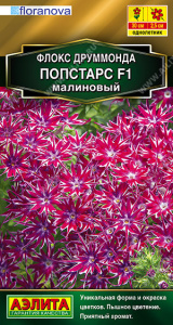 Флокс Попстарс F1 малиновый друммонда 5шт купить