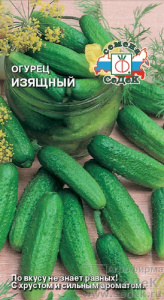 Огурец Изящный купить