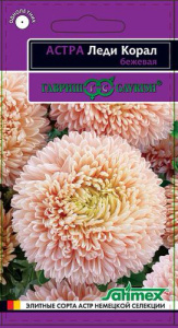 Астра Леди Коралл бежевая купить