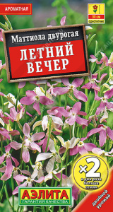 Маттиола Летний вечер  купить