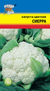Капуста (цветная) Сиерра F1  купить