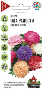 Астра Ода радости, смесь  купить