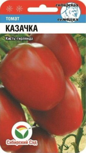 Томат Казачка  купить