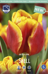 Тюльпан махровый ранний "Shell" (1х10шт) купить