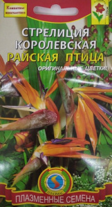 Стрелиция королевская Райская птица  купить
