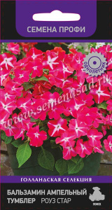Бальзамин Тумблер Роуз Стар ампельн.   купить