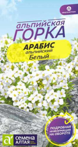 Арабис Белый Альпийский