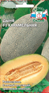 Дыня Карамельная F1  купить