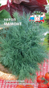 Укроп Мамонт  купить