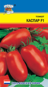 Томат Каспар F1 купить