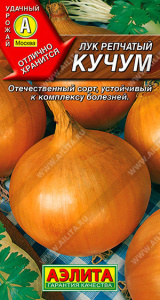 Лук (репчатый) Кучум купить