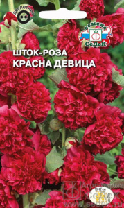 Шток-роза Красна-девица  купить