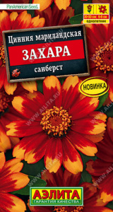 Цинния Захара санберст  купить