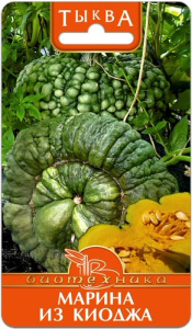 Тыква Марина из Киоджа  купить