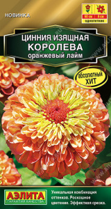 Цинния Королева оранжевый лайм купить