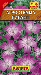 Агростемма Гигант  купить