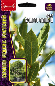 Лавр Благородный  купить