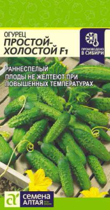 Огурец Простой холостой F1