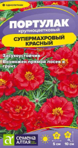 Портулак Супермахровый Красный купить