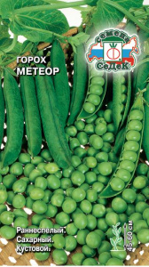 Горох Метеор  купить