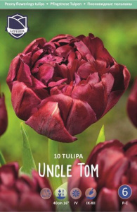 Тюльпан Анкл Том /10шт купить