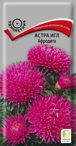 Астра игл Афродита купить