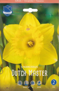 Нарцисс "Dutch Master" (1х5шт) купить