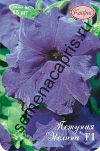Петуния Эвелина F1 фиолетовая (Германия)/1шт купить