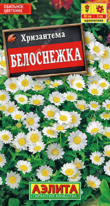 Хризантема Белоснежка  купить