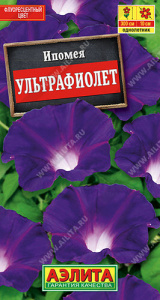 Ипомея Ультрафиолет  купить