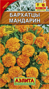 Бархатцы Мандарин отклоненные купить