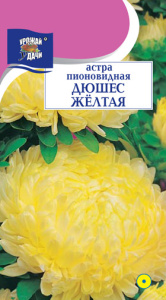 Астра Дюшес желтая пионовидная купить