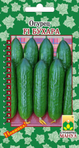 Огурец Бухара F1  купить