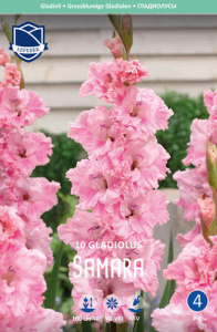 Гладиолус гофрированный Samara /10шт купить