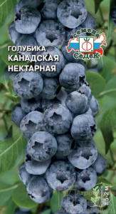 Голубика Канадская нектарная  купить